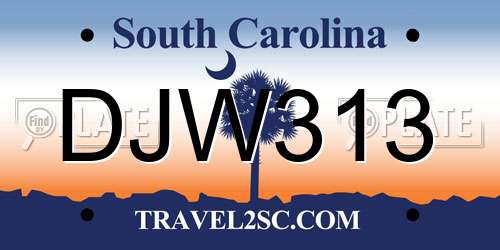 DJW313 South Carolina License Plate