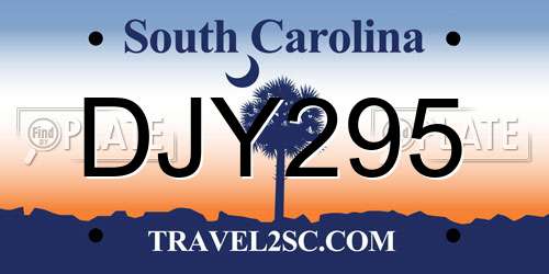 DJY295 South Carolina License Plate