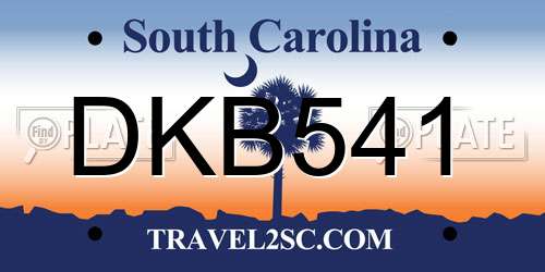 DKB541 South Carolina License Plate