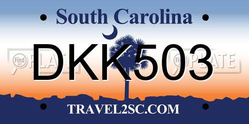 DKK503 South Carolina License Plate