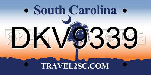 DKV9339 South Carolina License Plate
