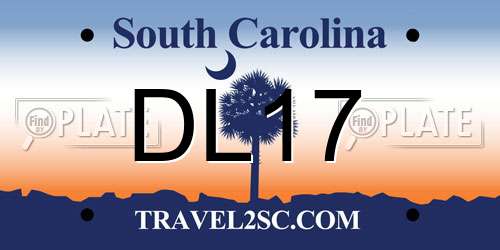 DL17 South Carolina License Plate