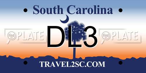 DL3 South Carolina License Plate