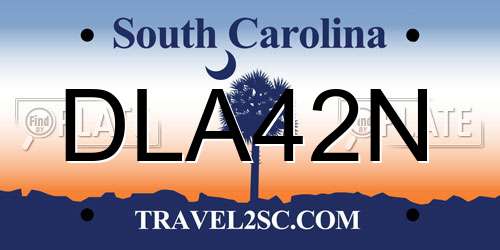DLA42N South Carolina License Plate