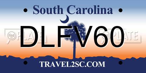 DLFV60 South Carolina License Plate