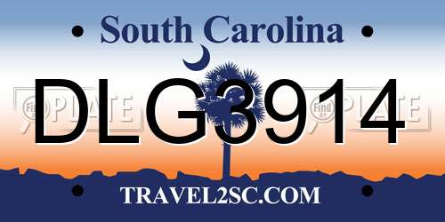 DLG3914 South Carolina License Plate