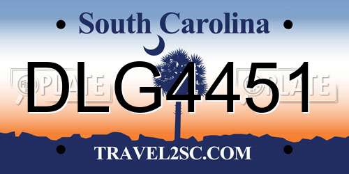 DLG4451 South Carolina License Plate