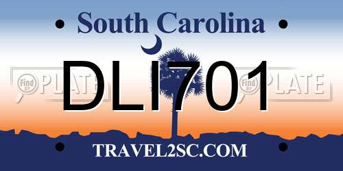 DLI701 South Carolina License Plate