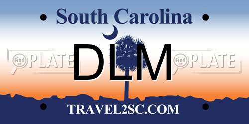 DLM South Carolina License Plate