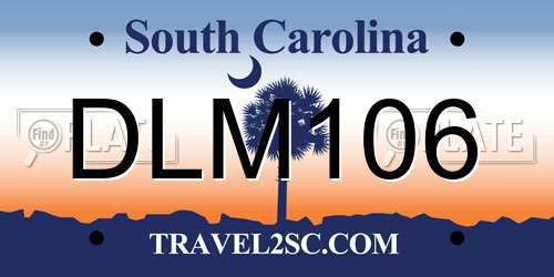 DLM106 South Carolina License Plate
