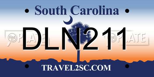 DLN211 South Carolina License Plate