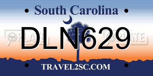 DLN629 South Carolina License Plate