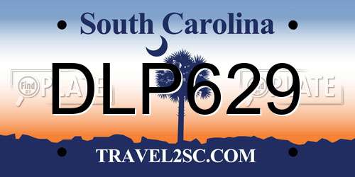DLP629 South Carolina License Plate