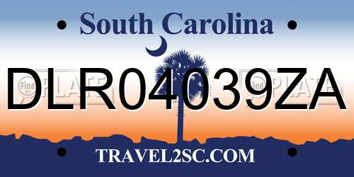DLR04039ZA South Carolina License Plate