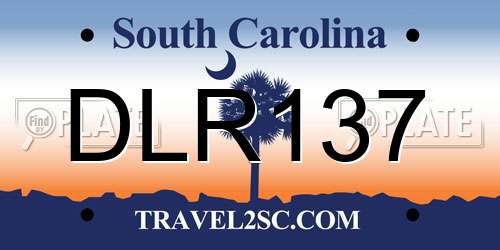 DLR137 South Carolina License Plate