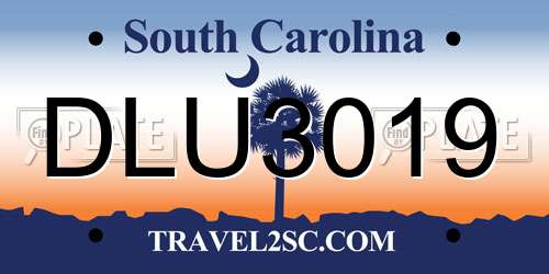 DLU3019 South Carolina License Plate