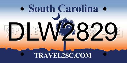 DLW2829 South Carolina License Plate