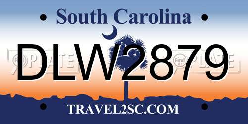 DLW2879 South Carolina License Plate