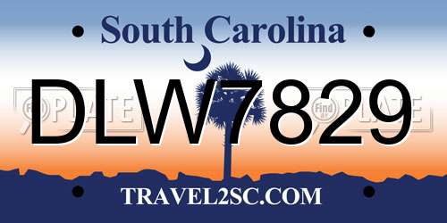 DLW7829 South Carolina License Plate