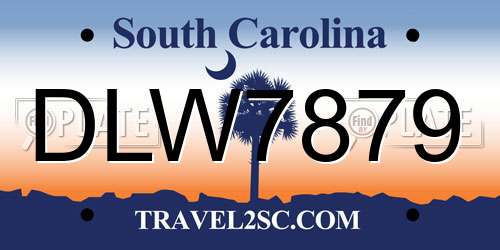 DLW7879 South Carolina License Plate