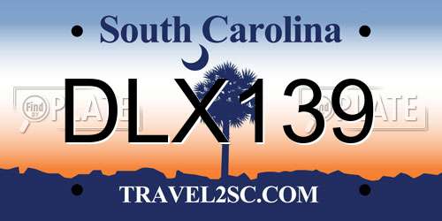 DLX139 South Carolina License Plate