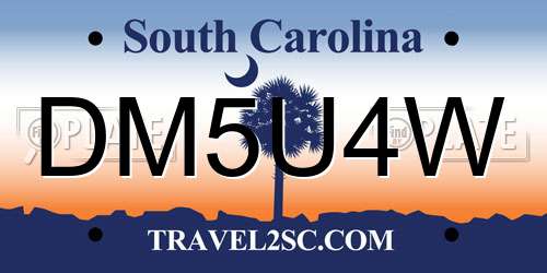 DM5U4W South Carolina License Plate