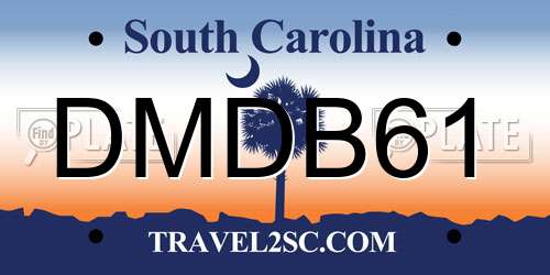 DMDB61 South Carolina License Plate