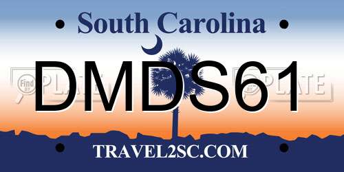 DMDS61 South Carolina License Plate