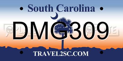DMG309 South Carolina License Plate