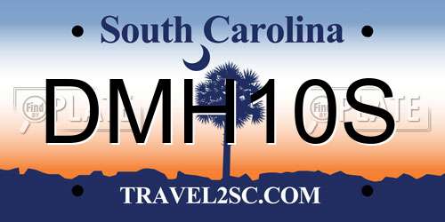 DMH10S South Carolina License Plate