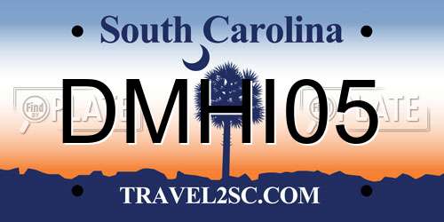 DMHI05 South Carolina License Plate