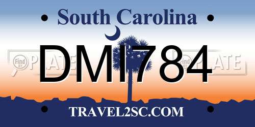 DMI784 South Carolina License Plate