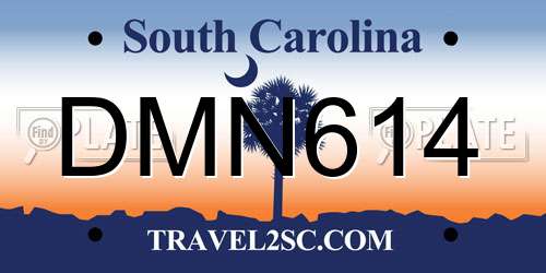 DMN614 South Carolina License Plate