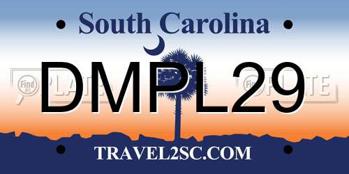 DMPL29 South Carolina License Plate