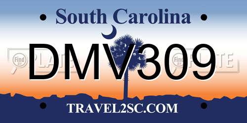 DMV309 South Carolina License Plate