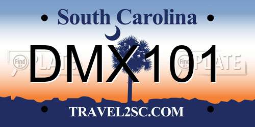 DMX101 South Carolina License Plate