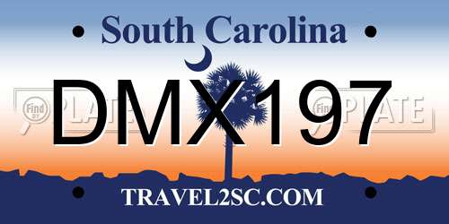 DMX197 South Carolina License Plate