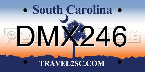 DMX246 South Carolina License Plate