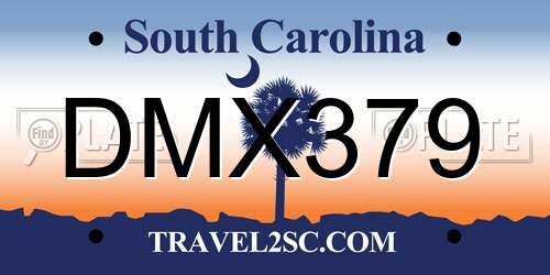 DMX379 South Carolina License Plate