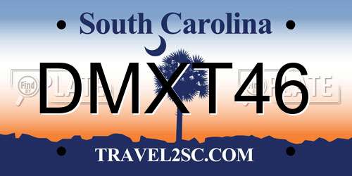 DMXT46 South Carolina License Plate