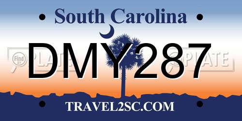 DMY287 South Carolina License Plate