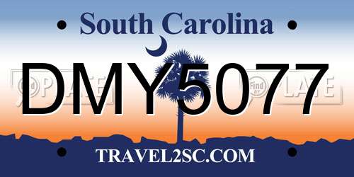 DMY5077 South Carolina License Plate