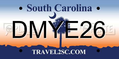 DMYE26 South Carolina License Plate
