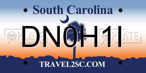 DN0H1I South Carolina License Plate