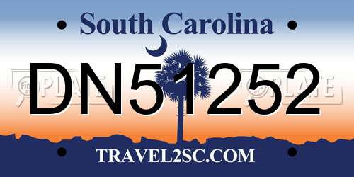 DN51252 South Carolina License Plate