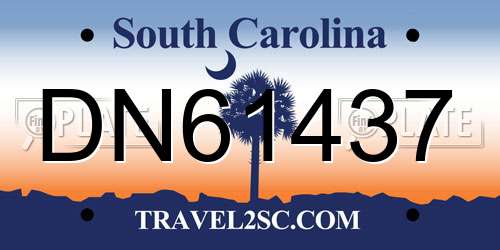 DN61437 South Carolina License Plate
