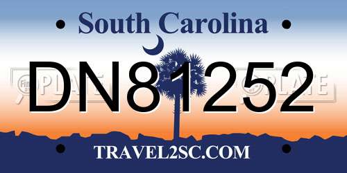 DN81252 South Carolina License Plate