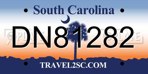DN81282 South Carolina License Plate