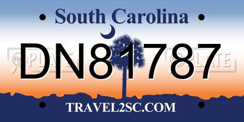 DN81787 South Carolina License Plate
