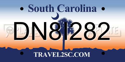 DN8I282 South Carolina License Plate